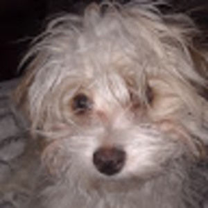 Meet your Posher, Lilliana